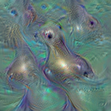 n02074367